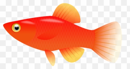 Backgrounds For Fish Clipart Transparent - Clear Png