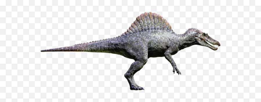 Spinosaurus - Jurassic Park 3 Spinosaurus Png,Spinosaurus Png