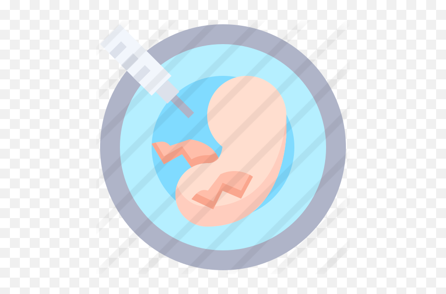 Embryo - Circle Png,Embryo Png