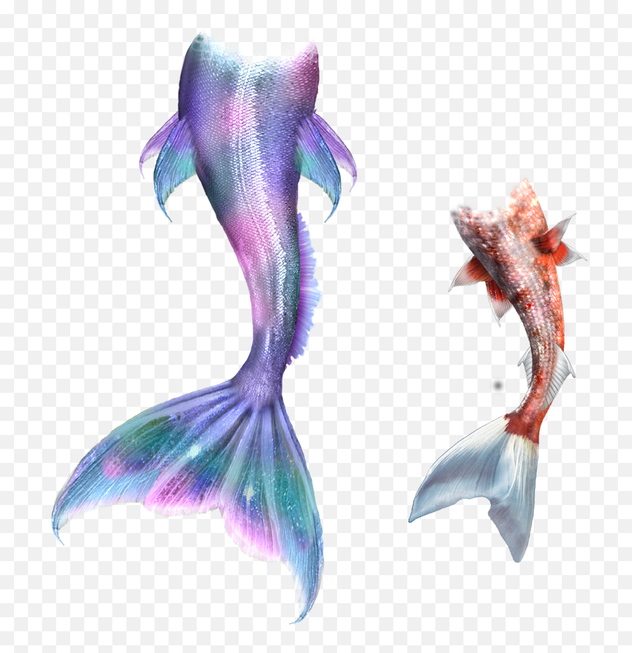 Pink Mermaid Tail Transparent - Mermaid Tail Drawing Png,Mermaid Tail Transparent