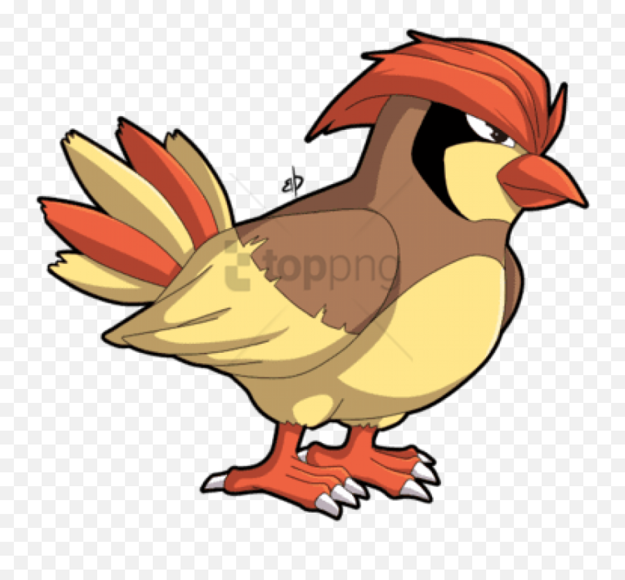 Download Smosh Pokemon Pidgey - Cartoon Bird With Hair Png,Pidgey Png