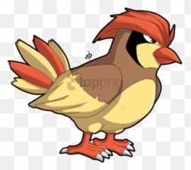 Download Smosh Pokemon Pidgey - Cartoon Bird With Hair Png,Pidgey Png
