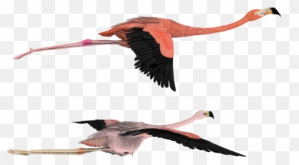 That Way Pink Flamingos By Madetobeunique - Transparent Drawings Of Flamingos Flying Png,Flamingo Png