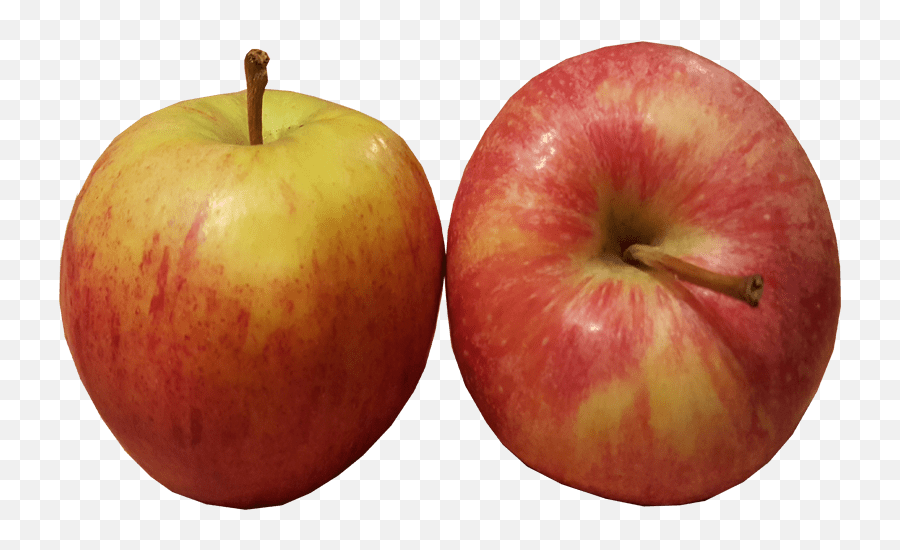 2 Eating Apples Transparent Fruit Image - Apples On Transparent Png,Apples Transparent Background