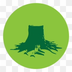 Tree Removal Gonzales Firewood And Png Stump