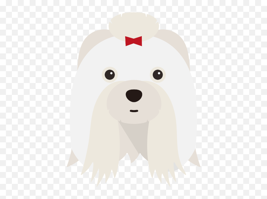 Create A Tailor - Made Shop Just For Your Shih Tzu Toy Dog Png,Shih Tzu Png