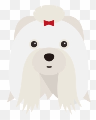 Create A Tailor - Made Shop Just For Your Shih Tzu Toy Dog Png,Shih Tzu Png