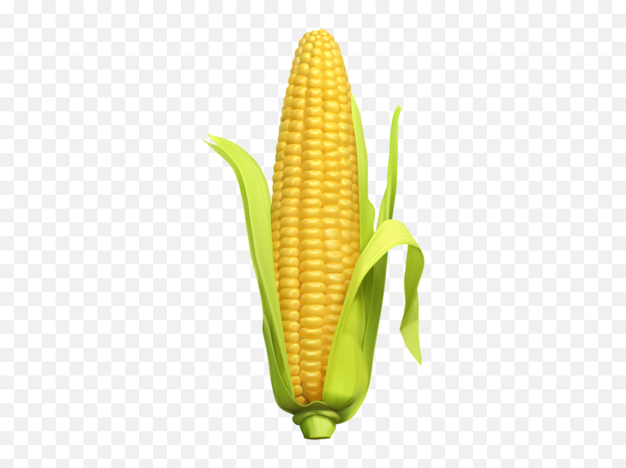 Corn Background Transparent Png - Corn Transparent Background Clipart,Corn Transparent Background