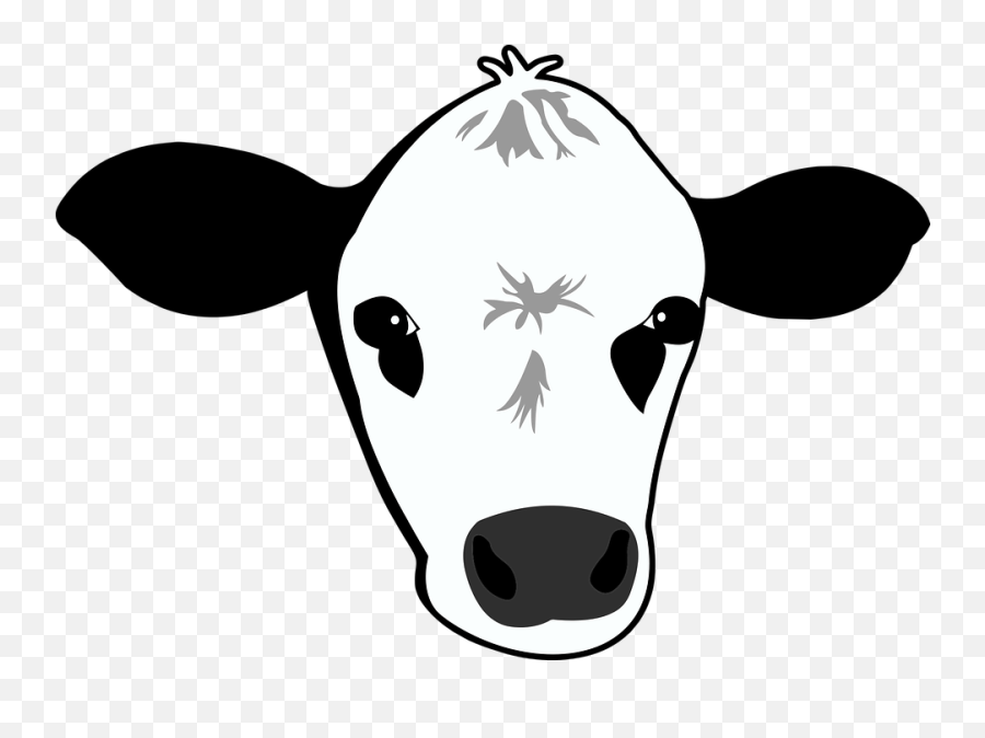 Cow Moo Farm - Cartoon Cow Face Png,Vaca Png - free transparent png images  
