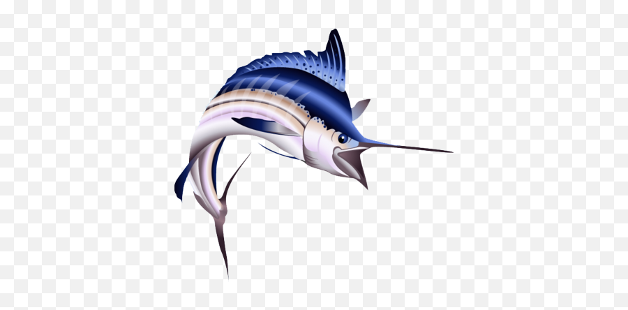 Download Marlin Psd - Peixe Marlin Png,Marlin Png