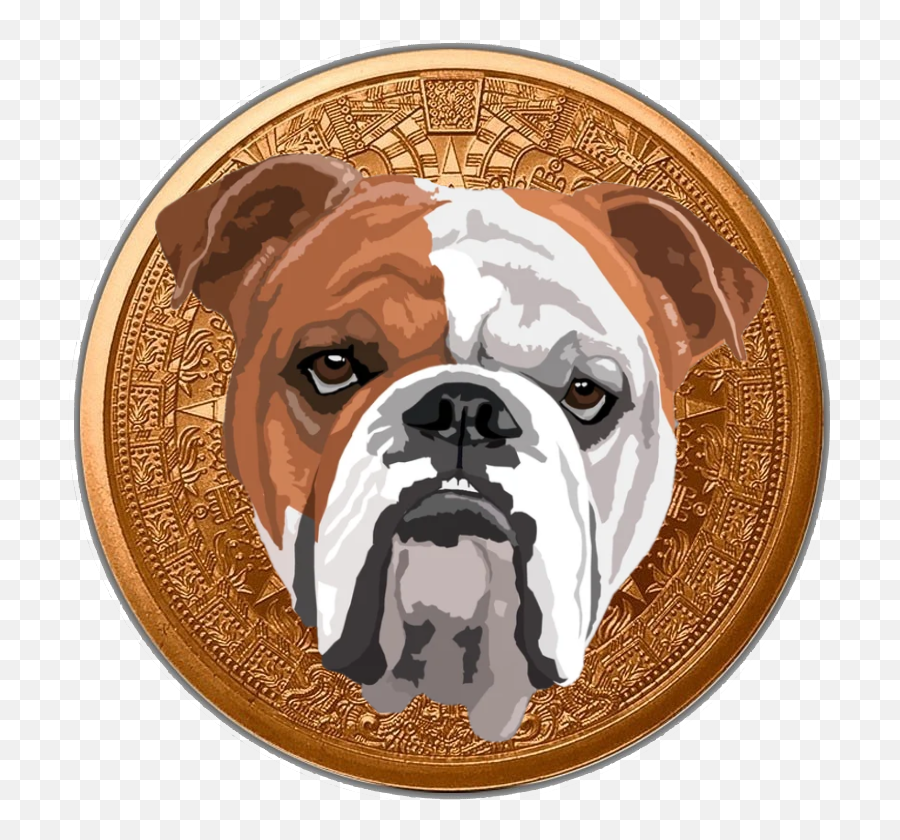 Bulldog Finance Token Bdog - Coinhunt Olde English Bulldogge Png,Bull Dog Icon
