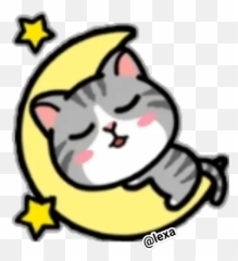 Sticker Maker - Cat Daily life Emoji Happy png