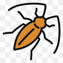 5 Creepy Cool Creatures Capstone - Parasitism png