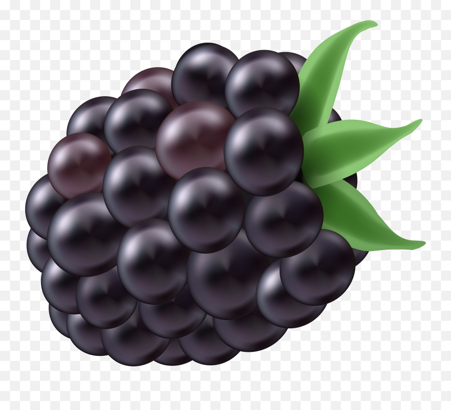 Blackberry Clip Free Png Files - Blackberry Clip Art,Blackberry Png