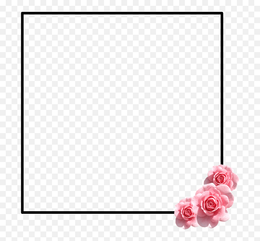 Flower - Cake Border For Word Document Png,Girly Png