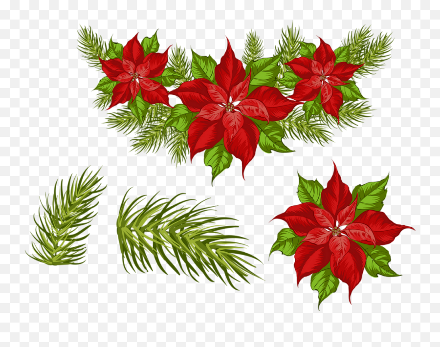 Tube Noël Poinsettia Png - Christmas Flower Png Poinsettia,Poinsettia Png