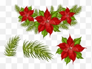 Tube Noël Poinsettia Png - Christmas Flower Png Poinsettia,Poinsettia Png