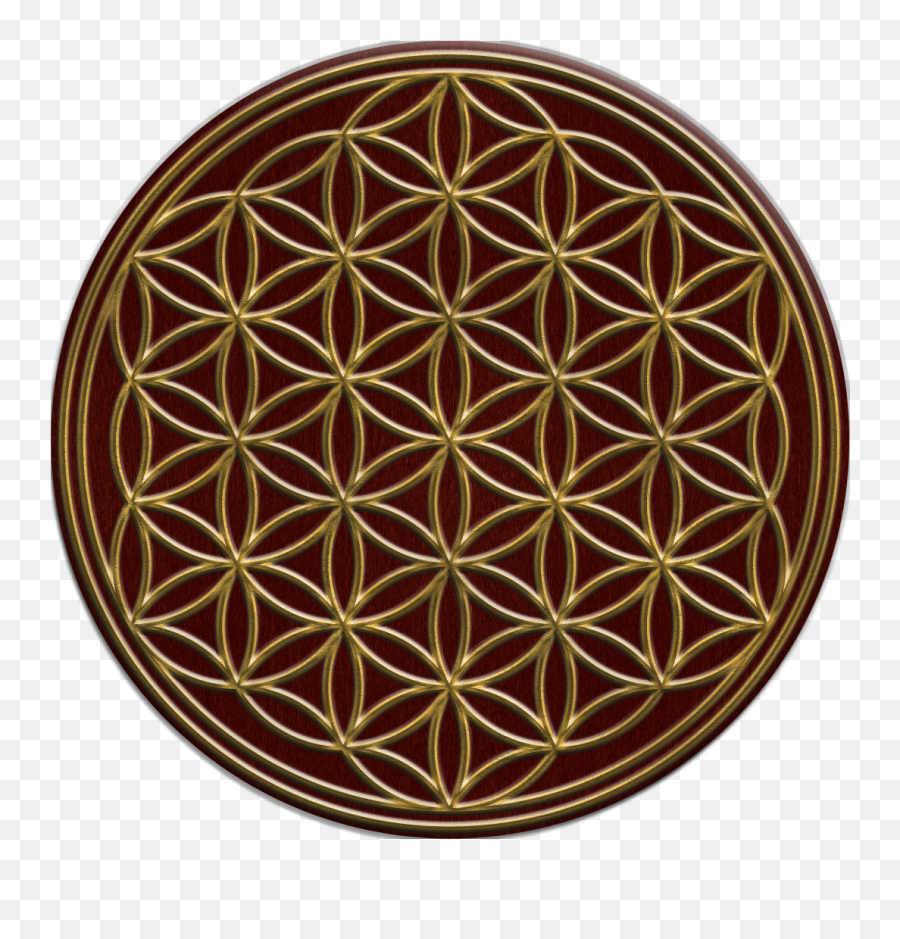 Flower - White Flower Of Life Png,Flower Of Life Png