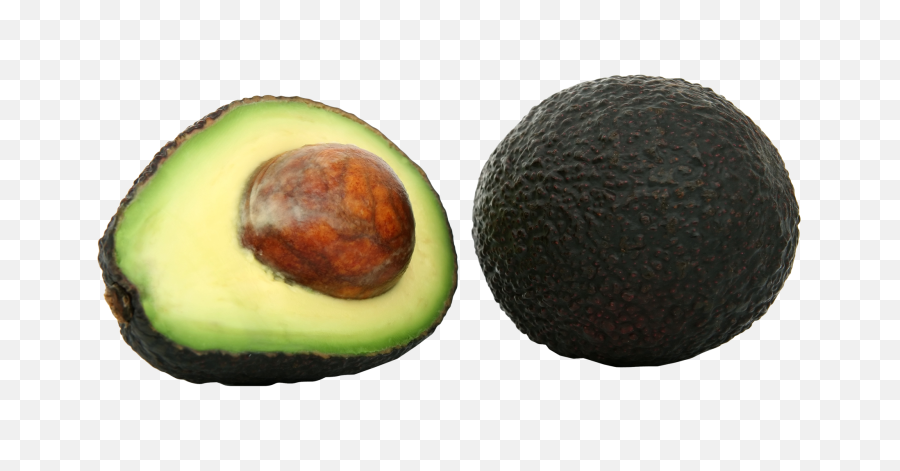 Png Background - Avocado Png,Avocado Transparent Background