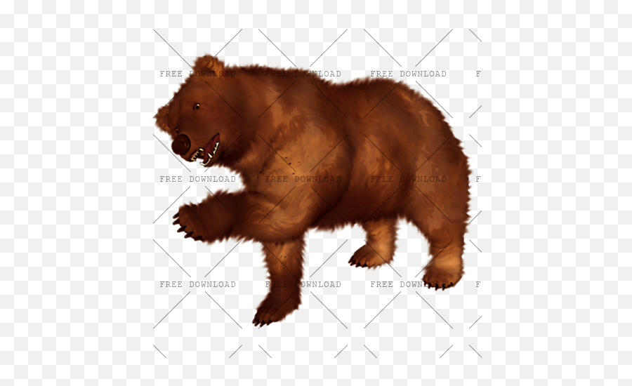Png Image With Transparent Background - Bear Png,Grizzly Bear Png