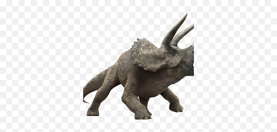 Triceratops - Triceratops Jurassic World Png,Jurassic World Png