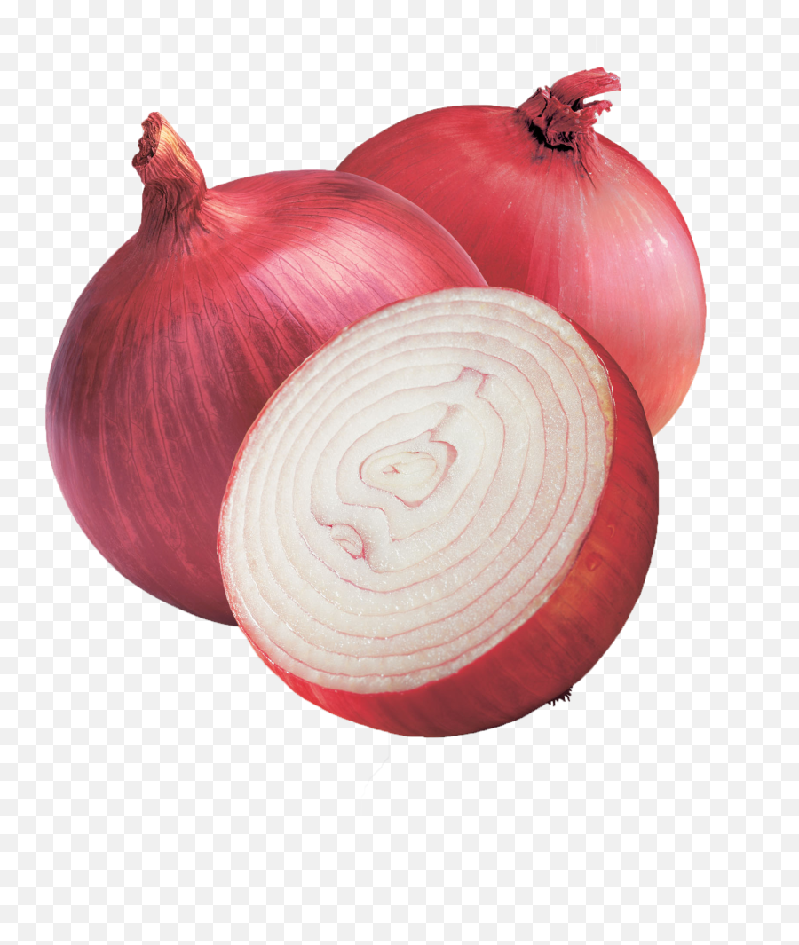 Download Onion Png Hd Wallpaper - Vegetable Onion Full Transparent Background Onion Png,Vegetable Png