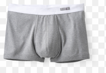 Josephine Boxers In Mottled Gray Incredible Comfort - Briefs Png,Boxers Png