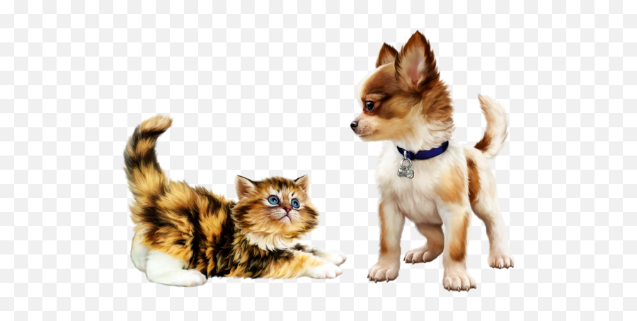 Tubes Chienspng Chiensdogpuppieswallpapersdessinpsp In - Tiernos Perros Y Gatos Animados,Psp Png