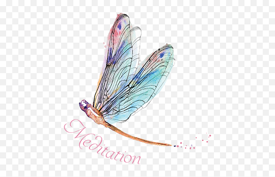 Meditation Pinksky - Damselfly Png,Meditation Transparent