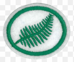 Fileferns Honorpng - Pathfinder Wiki Fern Honor Pathfinders,Ferns Png