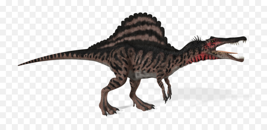 T Rex Skeleton Png - Spinosaurus Png,Spinosaurus Png