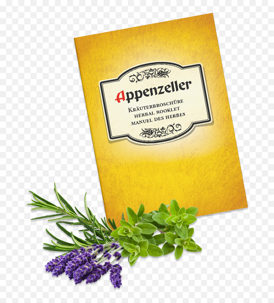 Herbal Expertise - The World Of Herbs Herb Png,Herb Png