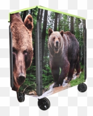 Matco Tool Box Wrap For Tools - Grizzly Bear Png,Matco Tools Logo