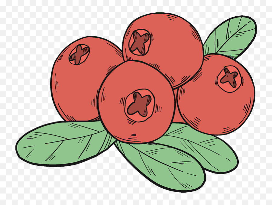 Cranberries Clipart - Cranberries Clipart Png,Cranberries Png