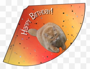 Birthday Month Celebration Lunaturd Cat Png