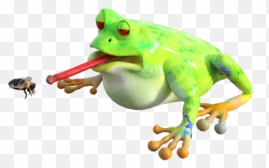 Froginsectanimalnatureeat - Free Image From Needpixcom Frog Transparent Png,Transparent Frog