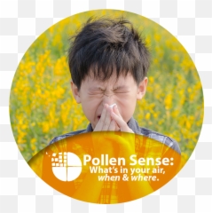 Pollen Wise Pilot Jefferson County Louisville Station - Pollen Allergy Png,Pollen Png