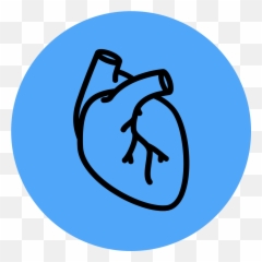 Cases By Category U2013 Em Sim - Transparent Real Heart Icon png