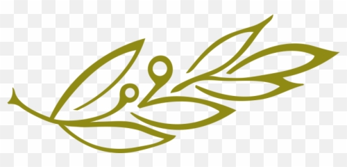 Home - Damara Day Spa png
