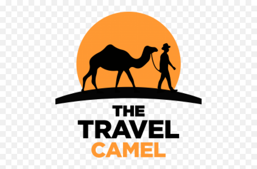 Contact - Travel Camel Png,Camel Logo