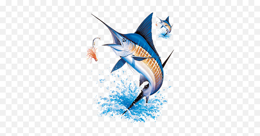 Download Free Png Blue Marlin - Blue Marlin,Marlin Png