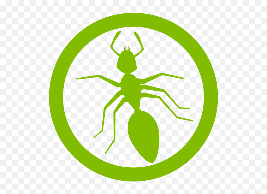 World Pest Control - Kansas Pest Control Company Png,Ant Icon