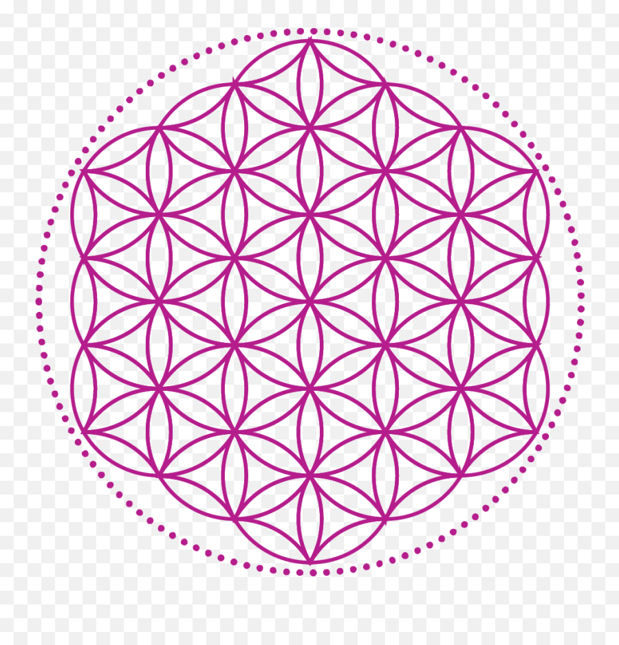 Download Merkaba The Lightbody You Need - Flower Of Life Crystal Grid Print Png,Flower Of Life Png