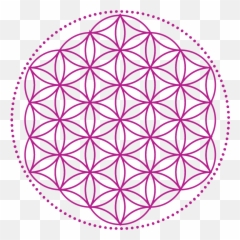 Download Merkaba The Lightbody You Need - Flower Of Life Crystal Grid Print Png,Flower Of Life Png