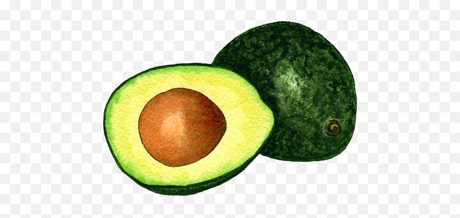 Avocado Png In High Resolution - Avocado,Avocado Transparent Background