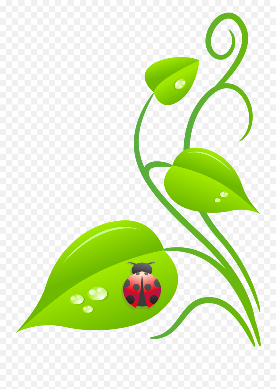 Download Ladybug Vine - Botanical Garden Clip Art Full Ladybug On Leaf Clipart Png,Transparent Vine