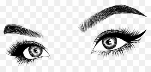 Eyelashes Clipart Png - Transparent Background