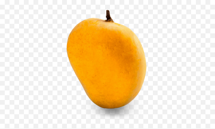Rotten mango fruit isolated 22207308 PNG