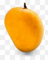 Alphonso Mango Png Image - Single Mango,Mango Png