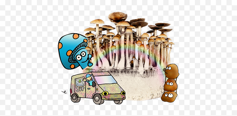 Download Magic Mushrooms Delivery - Buy Magic Mushrooms Can I Buy Magic Mushrooms Png,Mushrooms Png